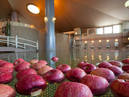 Minamida Onsen Hotel Appleland_1
