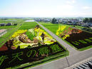 Rice Paddy Art_1