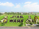 Rice Paddy Art_3
