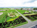 Rice Paddy Art_4