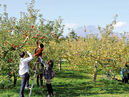 Hirosaki City Apple Park_3