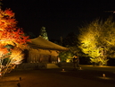 Shiramizu Amida-do_2