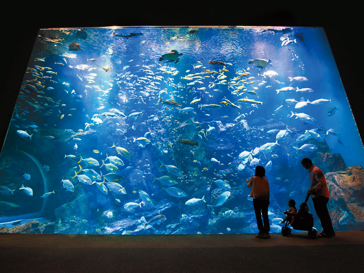 Oga Aquarium GAO_1