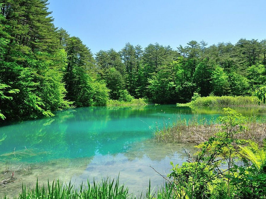 Goshiki-numa Ponds_1