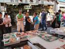 Tsukiji Outer Market (Tsukiji Kanno)_2