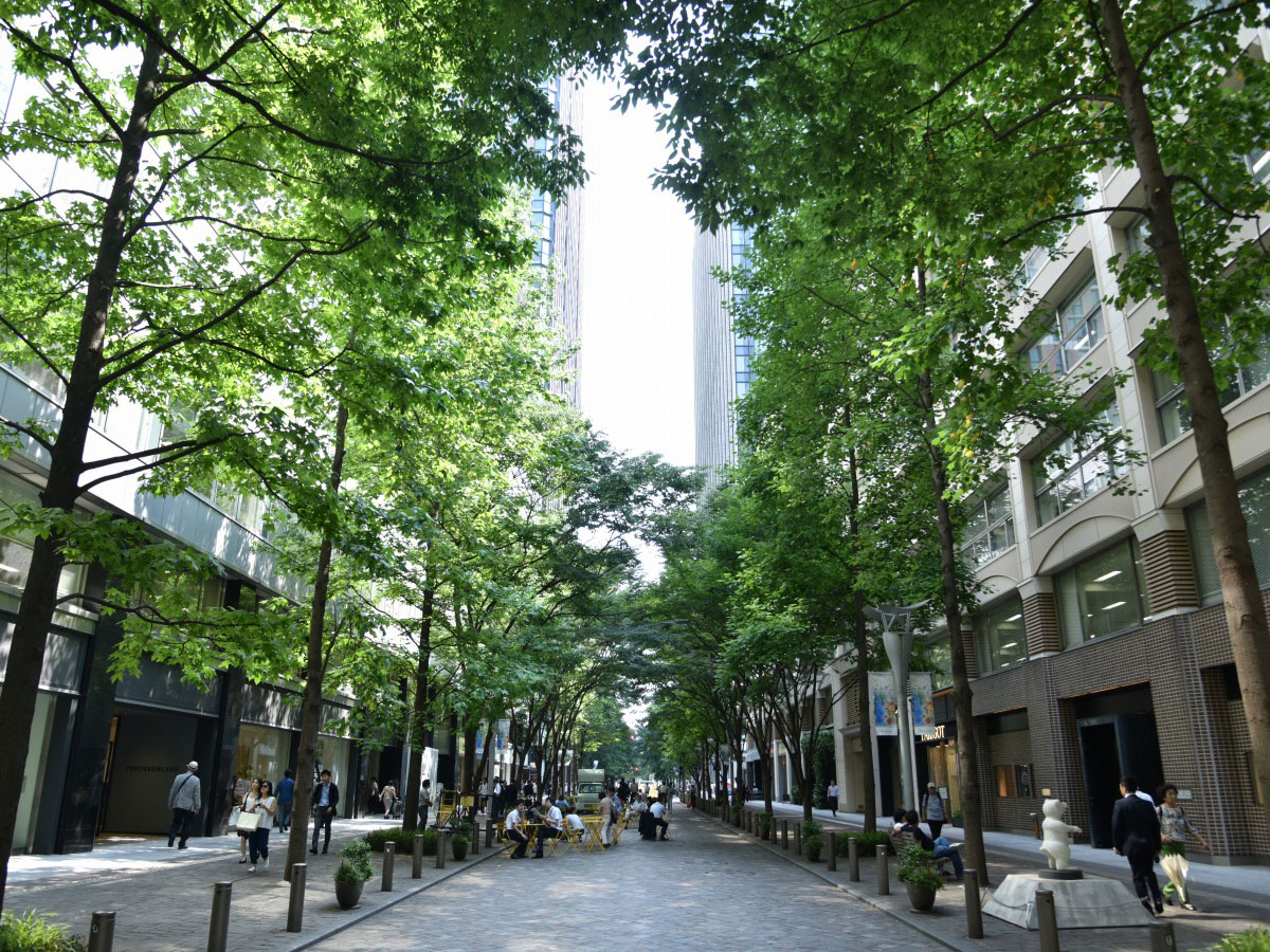 Marunouchi-Nakadori Ave._1