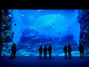 Sendai Umino-Mori Aquarium/Mitsui Outlet Park_1
