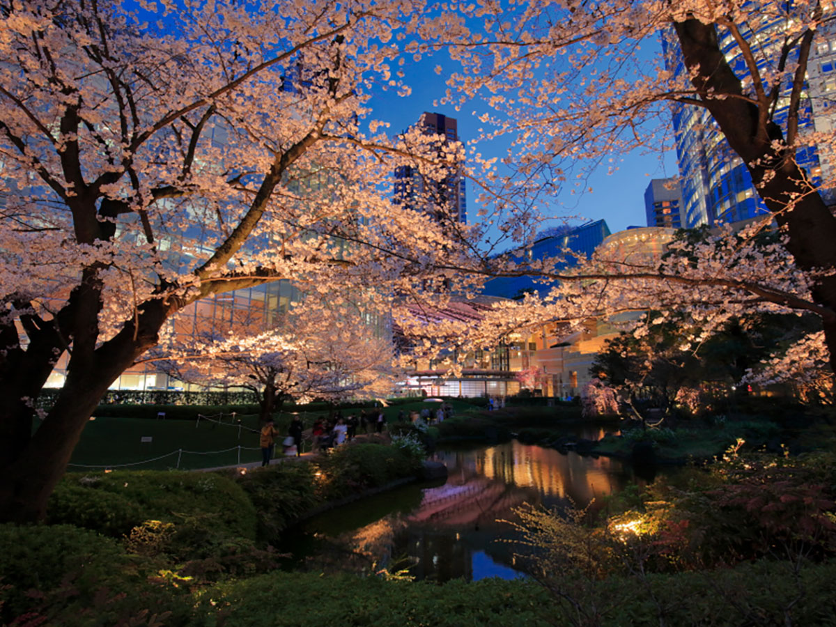 Mohri Garden_3