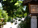 Osaki Hachimangu Shrine_3
