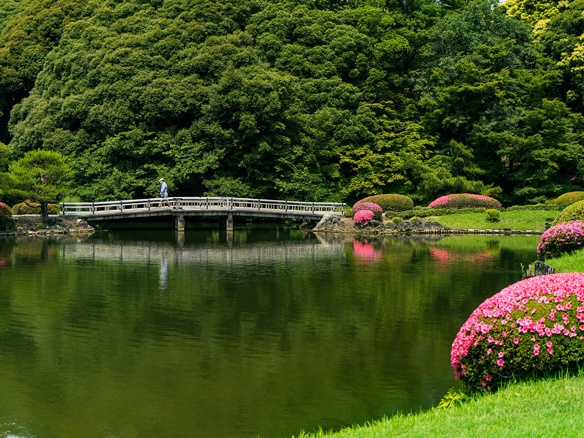 Shinjuku Gyoen National Garden_2