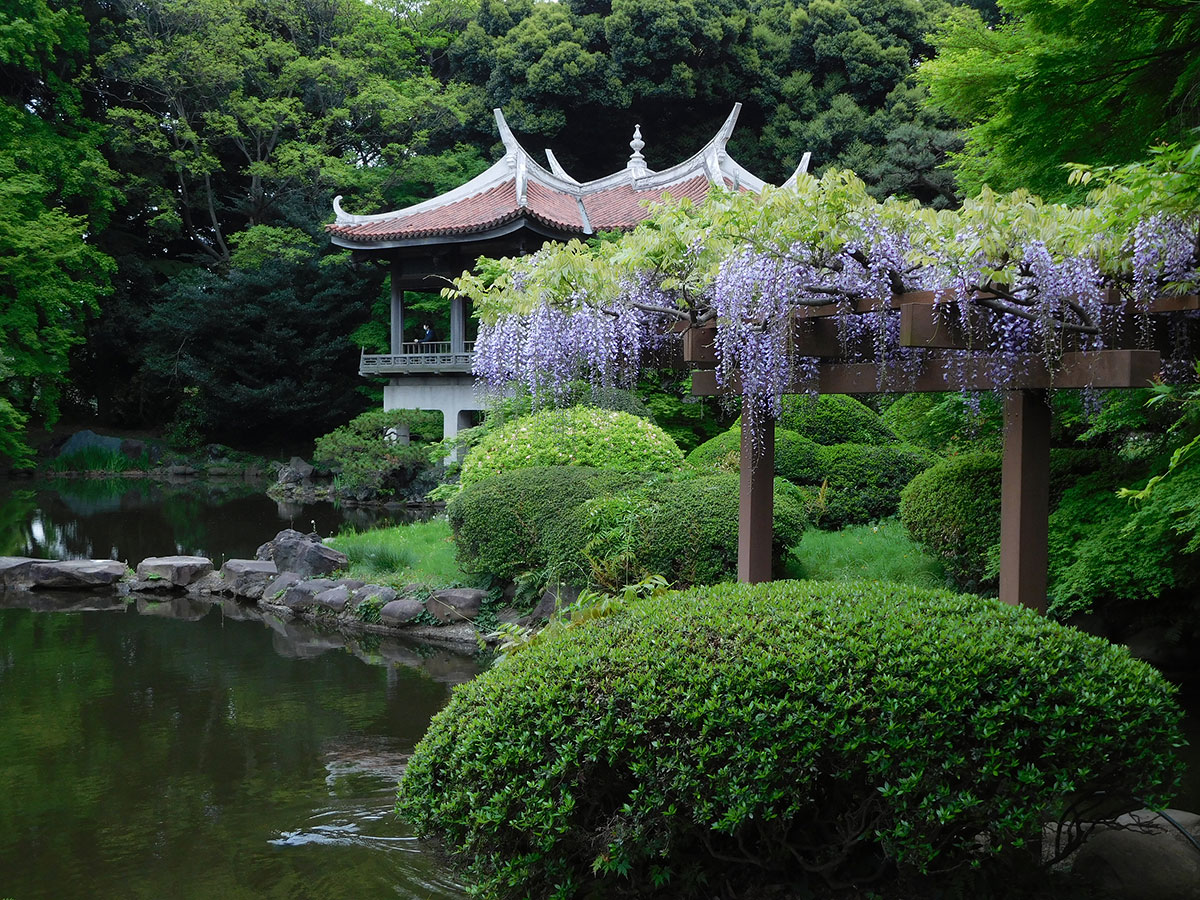 Shinjuku Gyoen National Garden_3