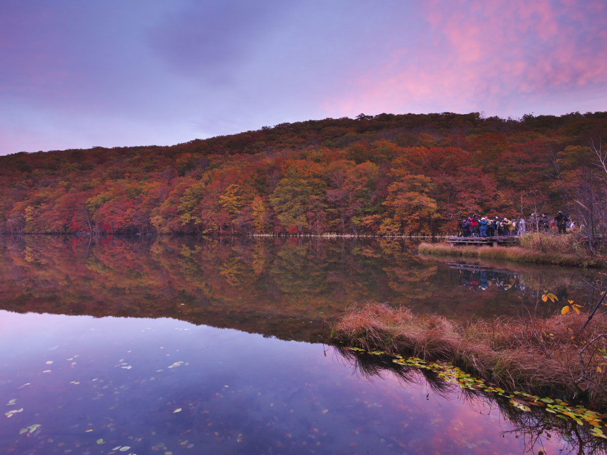 Tsuta Numa Pond_4
