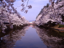 Uesugi-Jinja Shrine_3