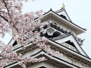Kaminoyama Castle_2
