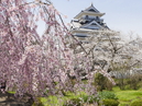 Kaminoyama Castle_3