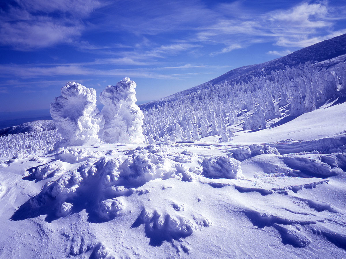 Zao Juhyo (Snow Monsters)_2
