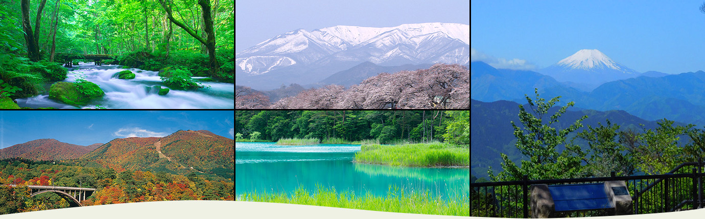 NATURE